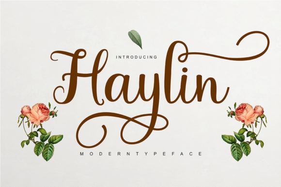 Haylin Script: A Premium Handwritten Font for Editorial Design