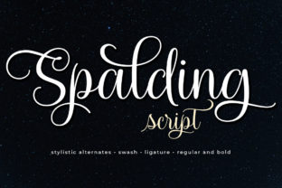 Spalding Font: A Playful Script for Digital Branding