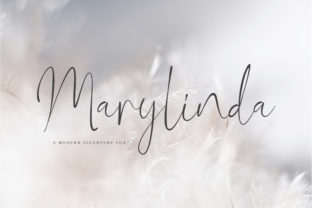 Why Marylinda is a Must-Have Font for Web Designers